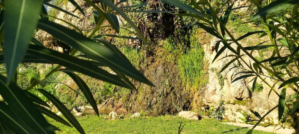 Benaoján Molino Del Caracolヴィラ エクステリア 写真